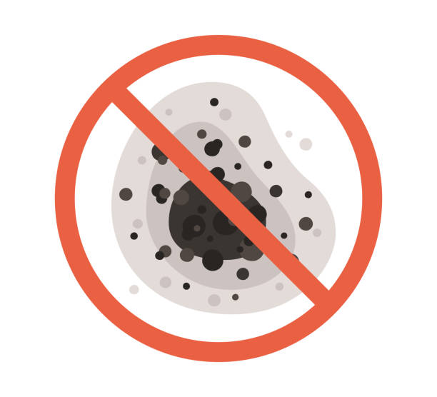  Soh Willard, UT Mold Removal Pros