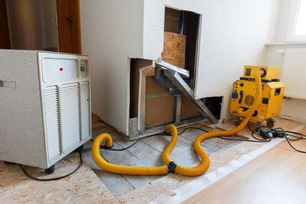 Best Emergency Mold Remediation  in Soh Willard, UT
